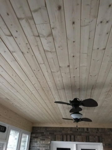 Ceiling With Fan